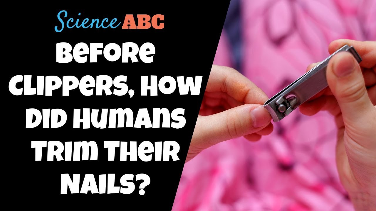 How Did Ancient Humans Cut Their Nails Without Nail Clippers?